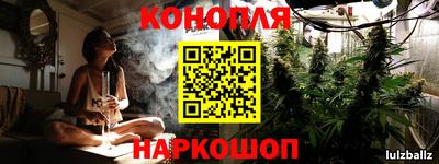 дмт Новозыбков