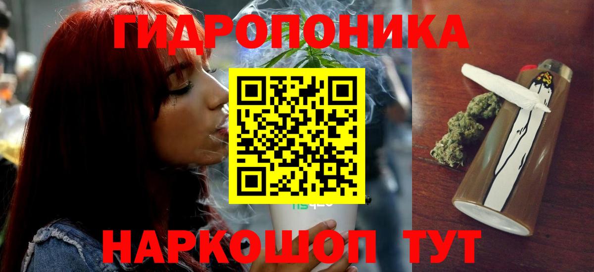 Шишки марихуана планчик Пыть-Ях